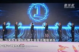 kaiyun-马来西亚球队在国际赛事中表现稳健()