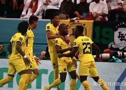 开云app登录-塞尔塔球队  第1张