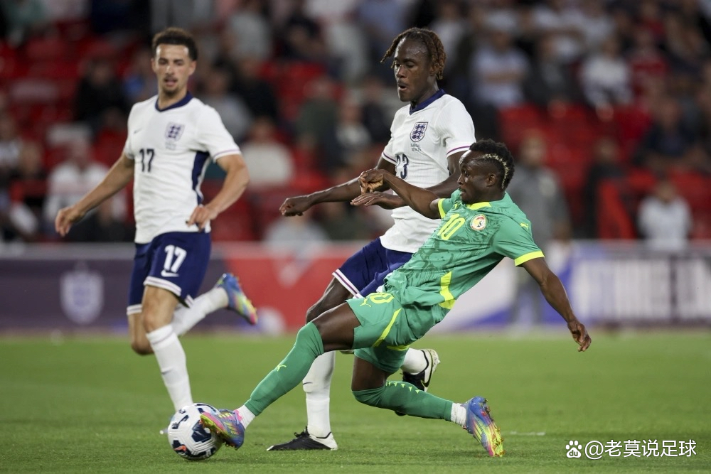 开云手机在线登陆-捷克主场获得重要胜利锁定欧锦赛席位()  第2张