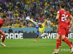 开云体育入口-荷兰队在与摩尔多瓦的比赛中大胜()  第1张