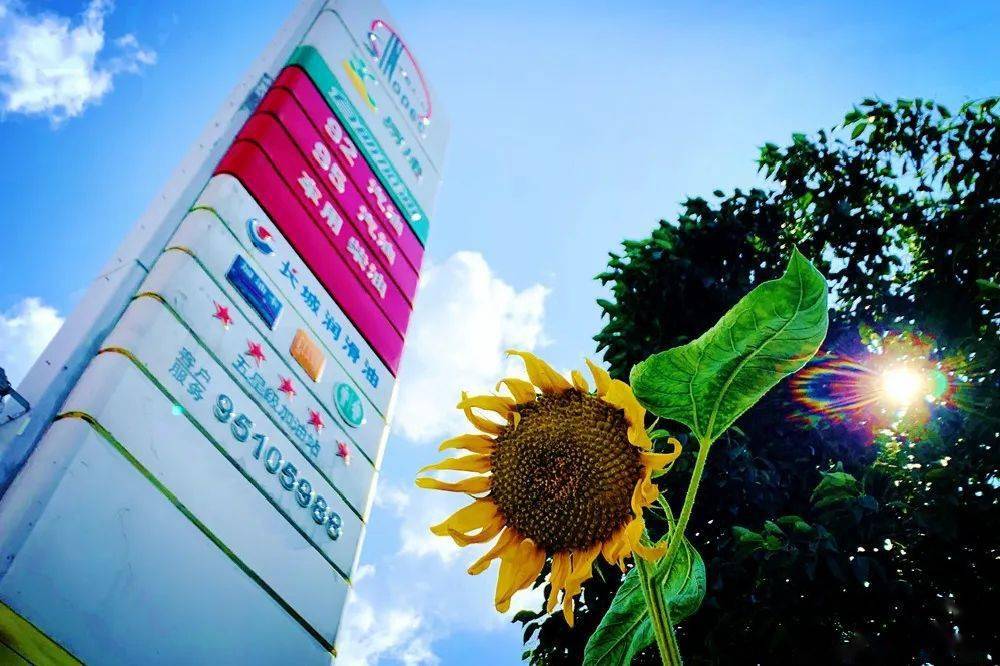 开云体育登录-戴雅队员身体状态绝佳，备战全力以赴，决心取得好成绩()  第1张