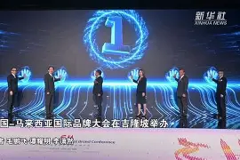 kaiyun-马来西亚球队在国际赛事中表现稳健()  第1张