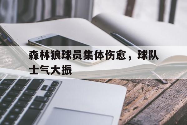 开云体育app-森林狼球员集体伤愈，球队士气大振()  第1张