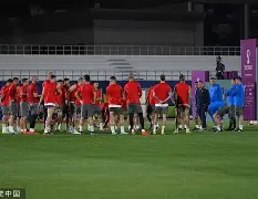 开云体育-塞尔维亚队在欧洲大赛中表现抢眼()  第1张